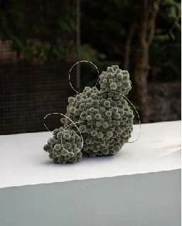 低饱和度自然花艺